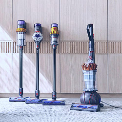 Dyson Cordless Vacuums and Air Purifiers for Pets & Homes | Crate & Barrel
